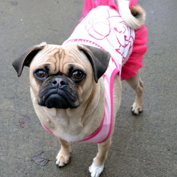 Meet your Posher, Melinda - Picture 3 of 4